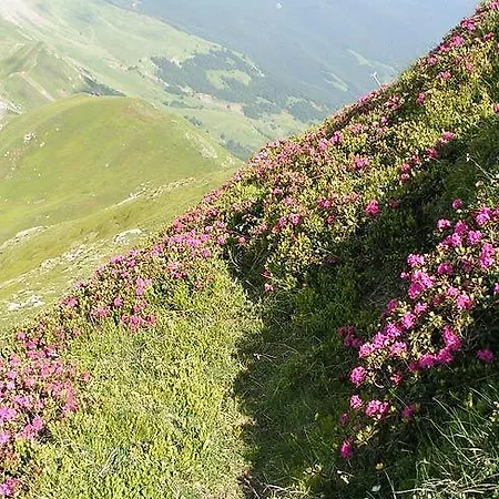 酒店 艾尔布格帝罗洛酒店